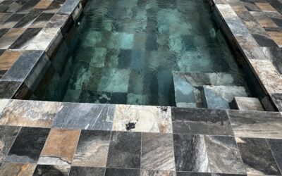 Our project for a contemporary swimming pool with exotic accents.