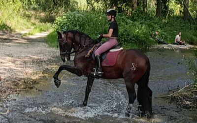 Equestrian Pot Empuriabrava