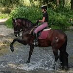 Paseo a caballo en Empuriabrava en plena naturaleza